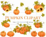 Pumpkin Cliapart