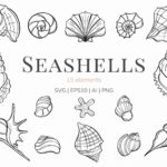 Seashell Collection SVG
