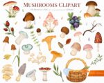 Mushrooms Clipart - Image 2