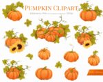 Pumpkin Cliapart - Image 2