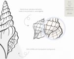 Seashell Collection SVG - Image 3