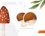 Mushrooms Clipart - Image 4