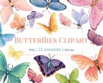 Butterfly Clipart