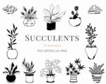 Succulent Collection SVG