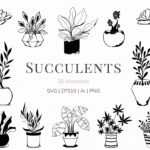 Succulent Collection SVG