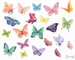 Butterfly Stickers - Image 5