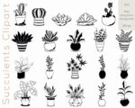Succulent Collection SVG - Image 3