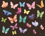 Butterfly Stickers - Image 6