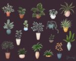 Potted Plants Stickers - Image 6