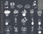 Succulent Collection SVG - Image 4