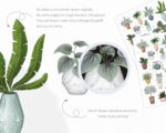 Potted Plants Stickers - Image 4